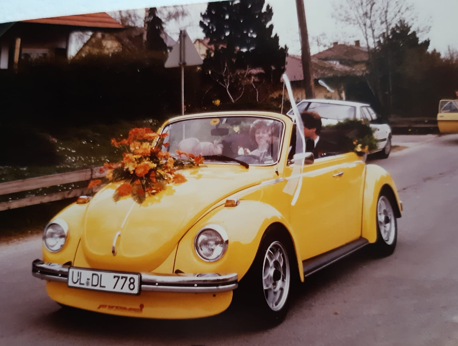 Eure schönsten Käfer-Fotos