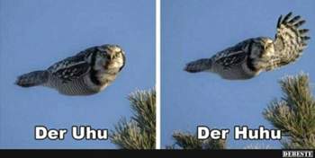 Db5e8a779df1960303218f0aeec56bd45583