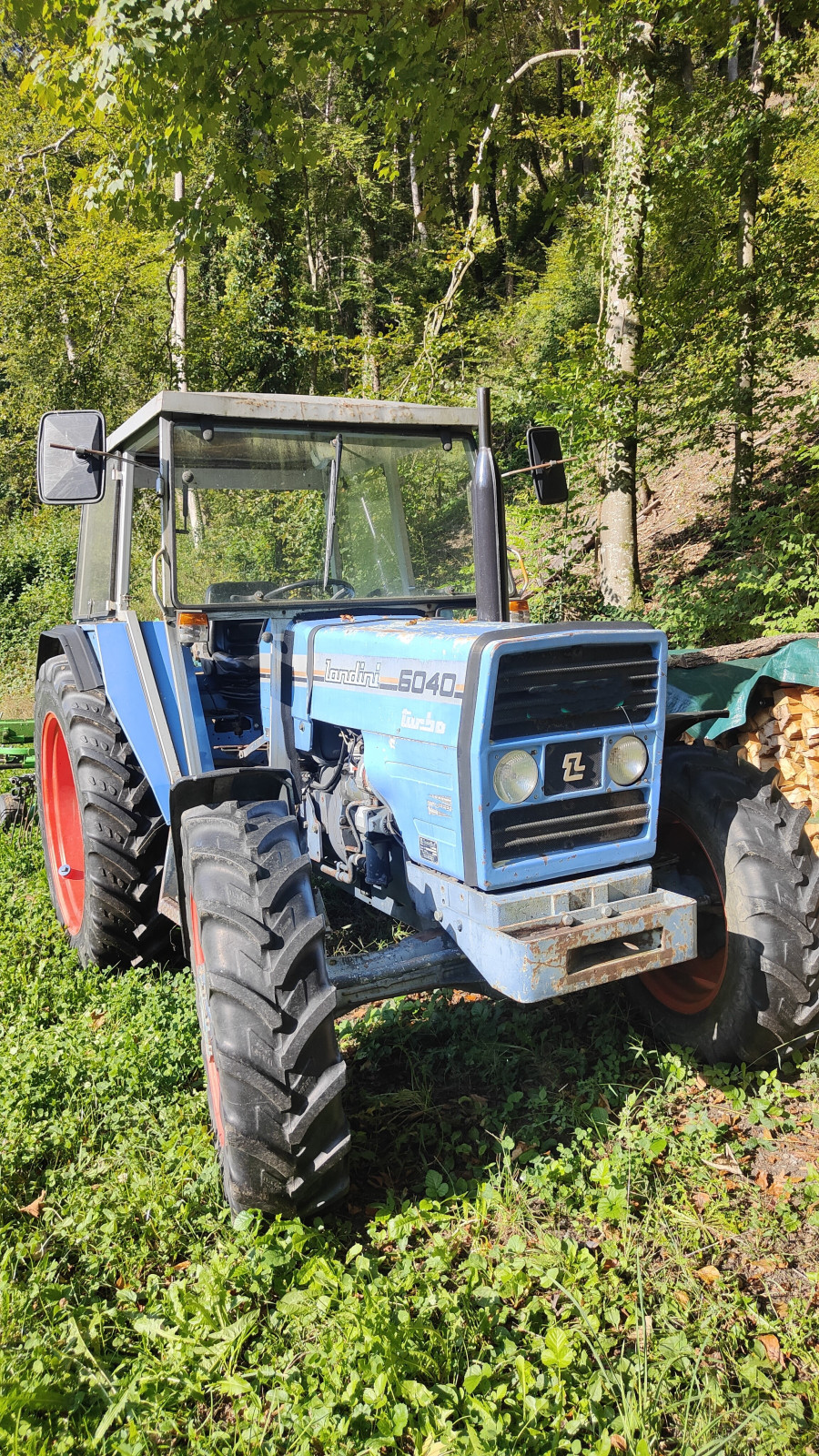 Welcher MF ist baugleich mit dem Landini DT 6040?