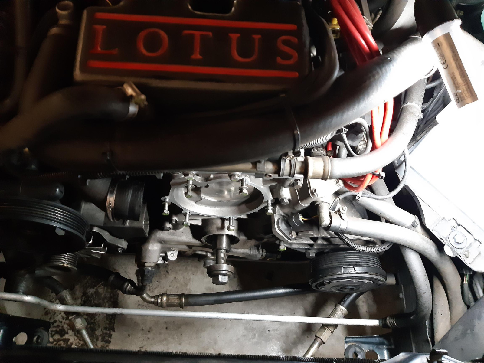 Was habt Ihr heute alles Gutes für Euren Omega & Senator getan?