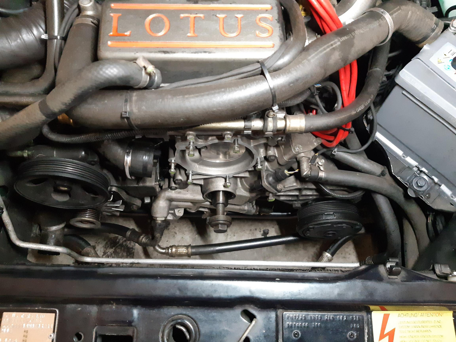 Was habt Ihr heute alles Gutes für Euren Omega & Senator getan?