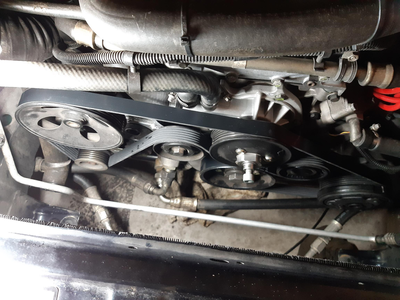 Was habt Ihr heute alles Gutes für Euren Omega & Senator getan?