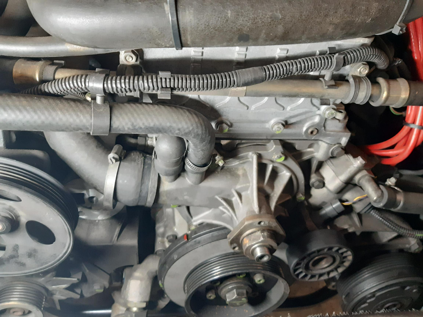 Was habt Ihr heute alles Gutes für Euren Omega & Senator getan?