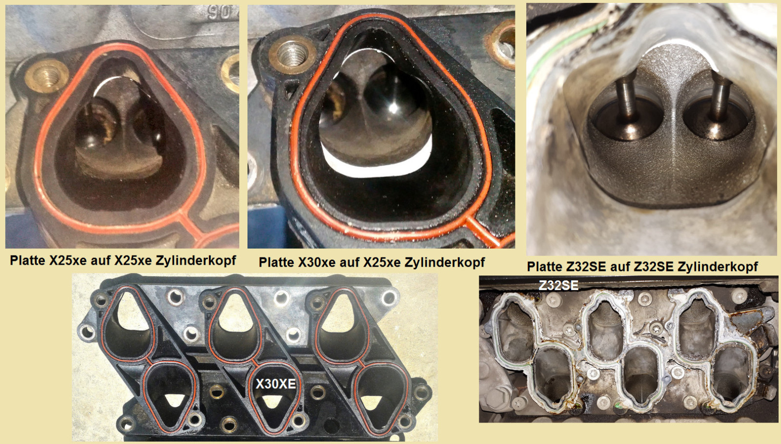 Omega B - Y26SE - Fehlercode P0130 & P0150
