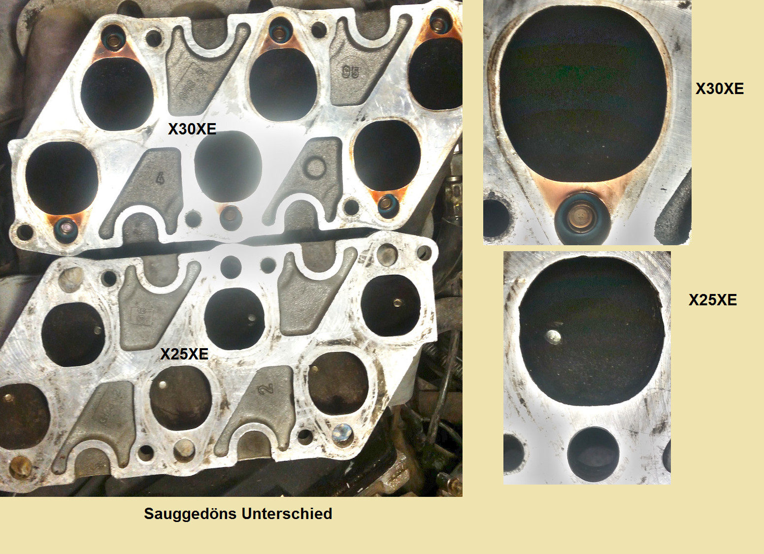 Omega B - Y26SE - Fehlercode P0130 & P0150