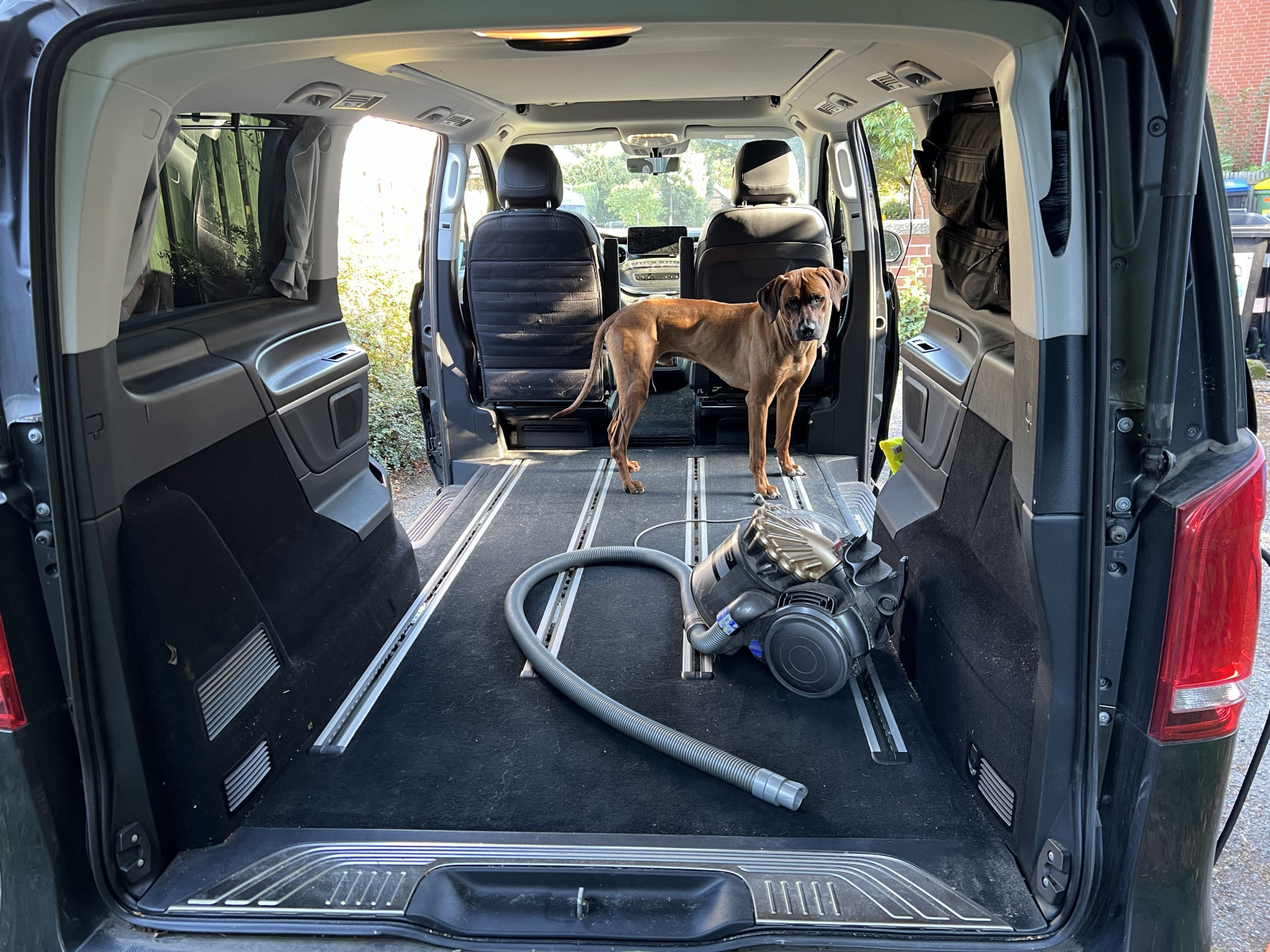 Hundetransport in der V Klasse (mit Bildern)