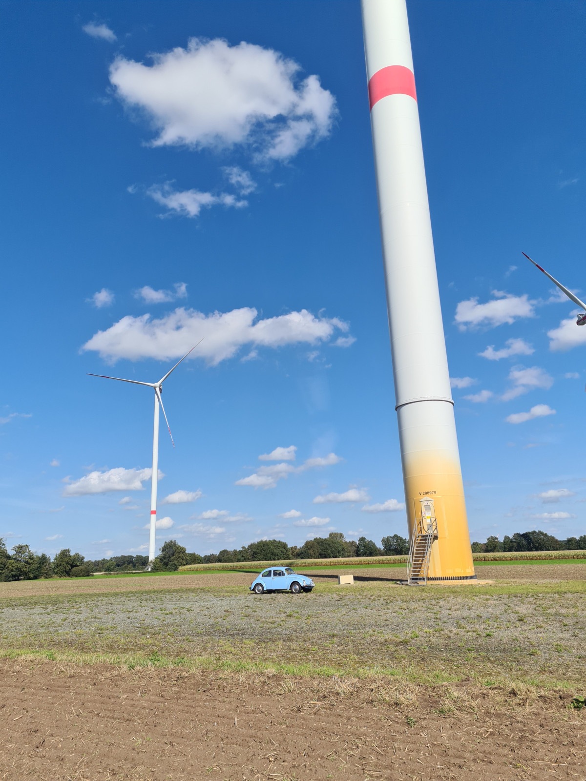 Eure schönsten Käfer-Fotos