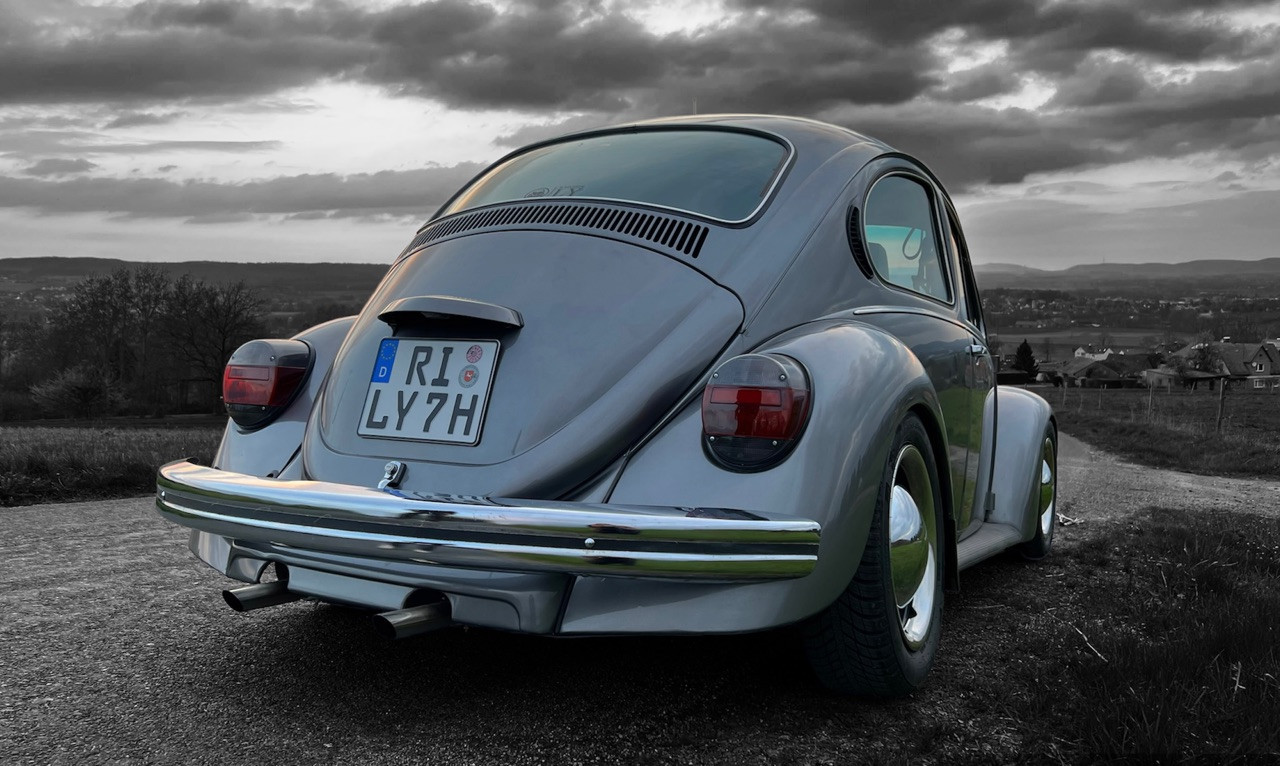 Eure schönsten Käfer-Fotos