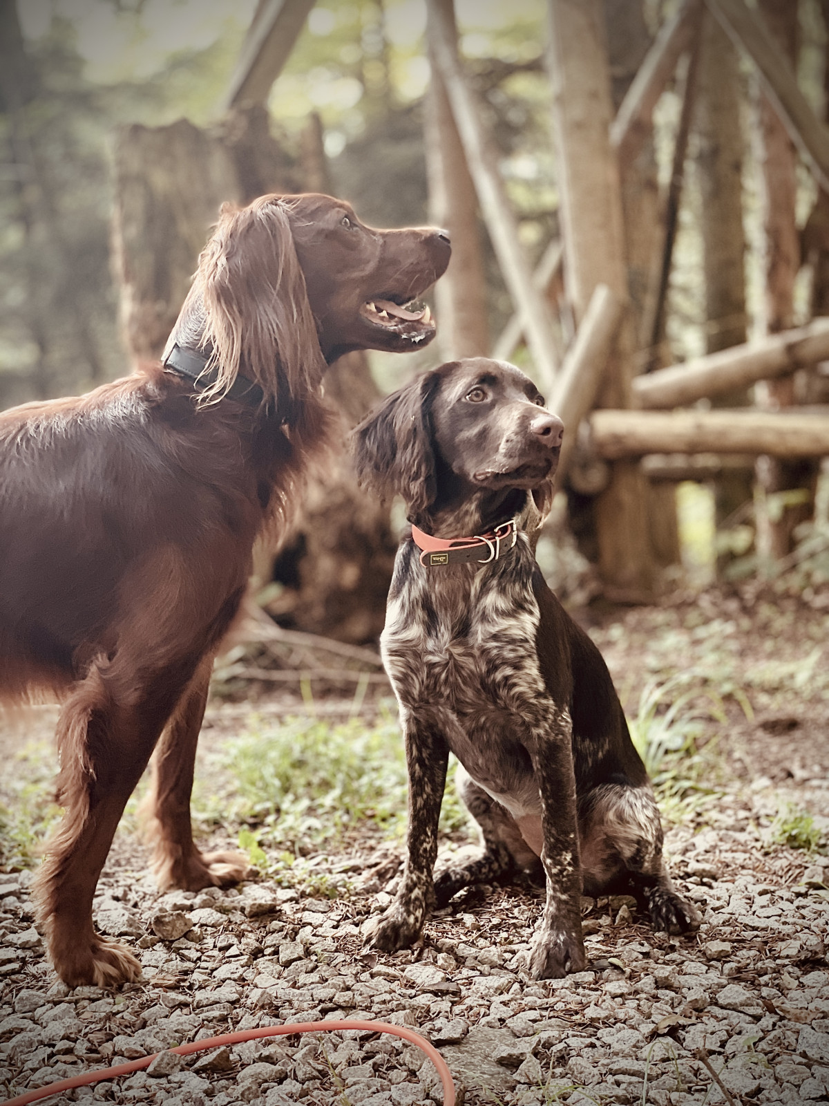 Wie breit ist der Kofferraum innen beim GLC Hybrid (x254) an der schmalsten Stelle?
