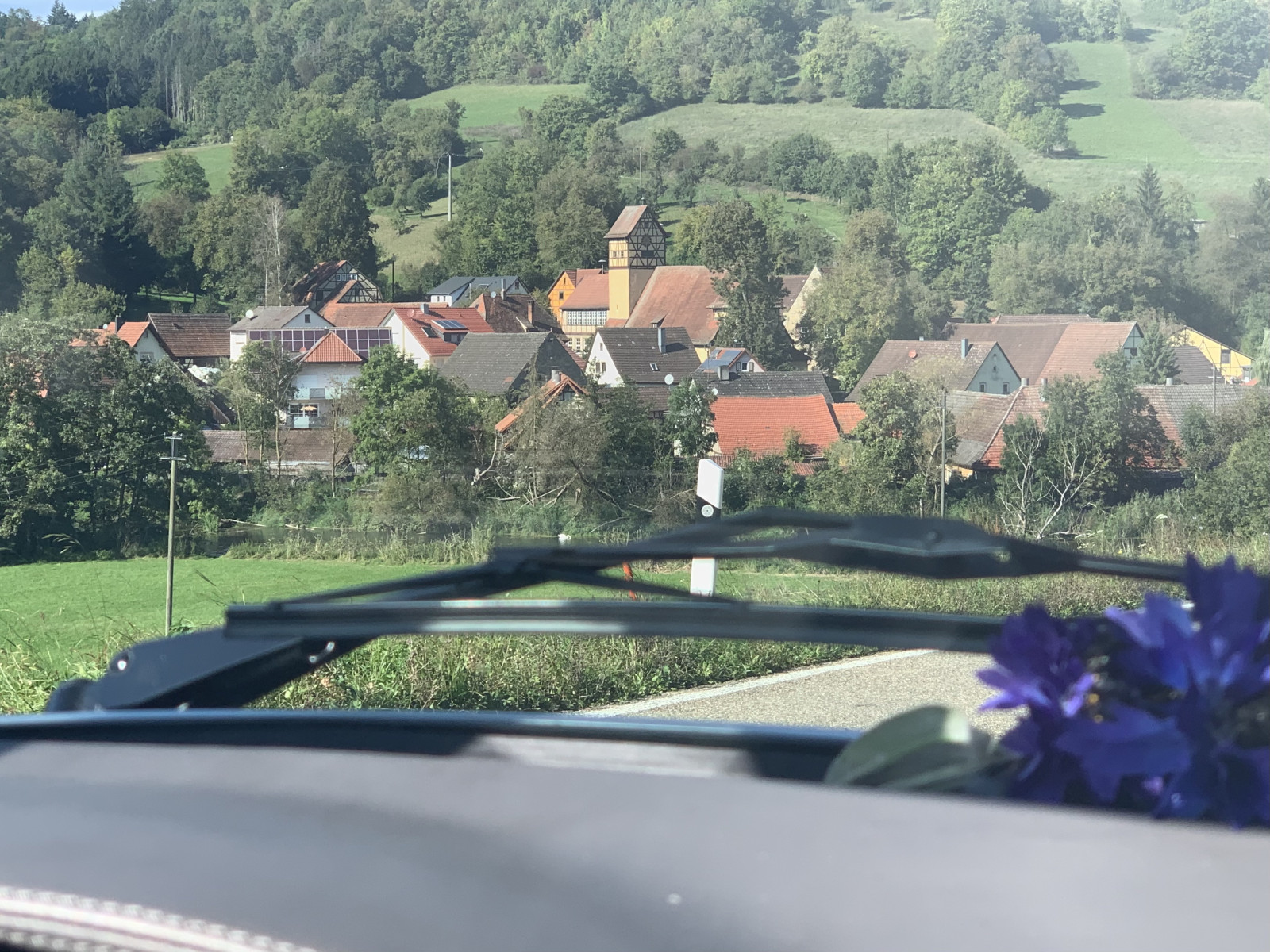 Eure schönsten Käfer-Fotos