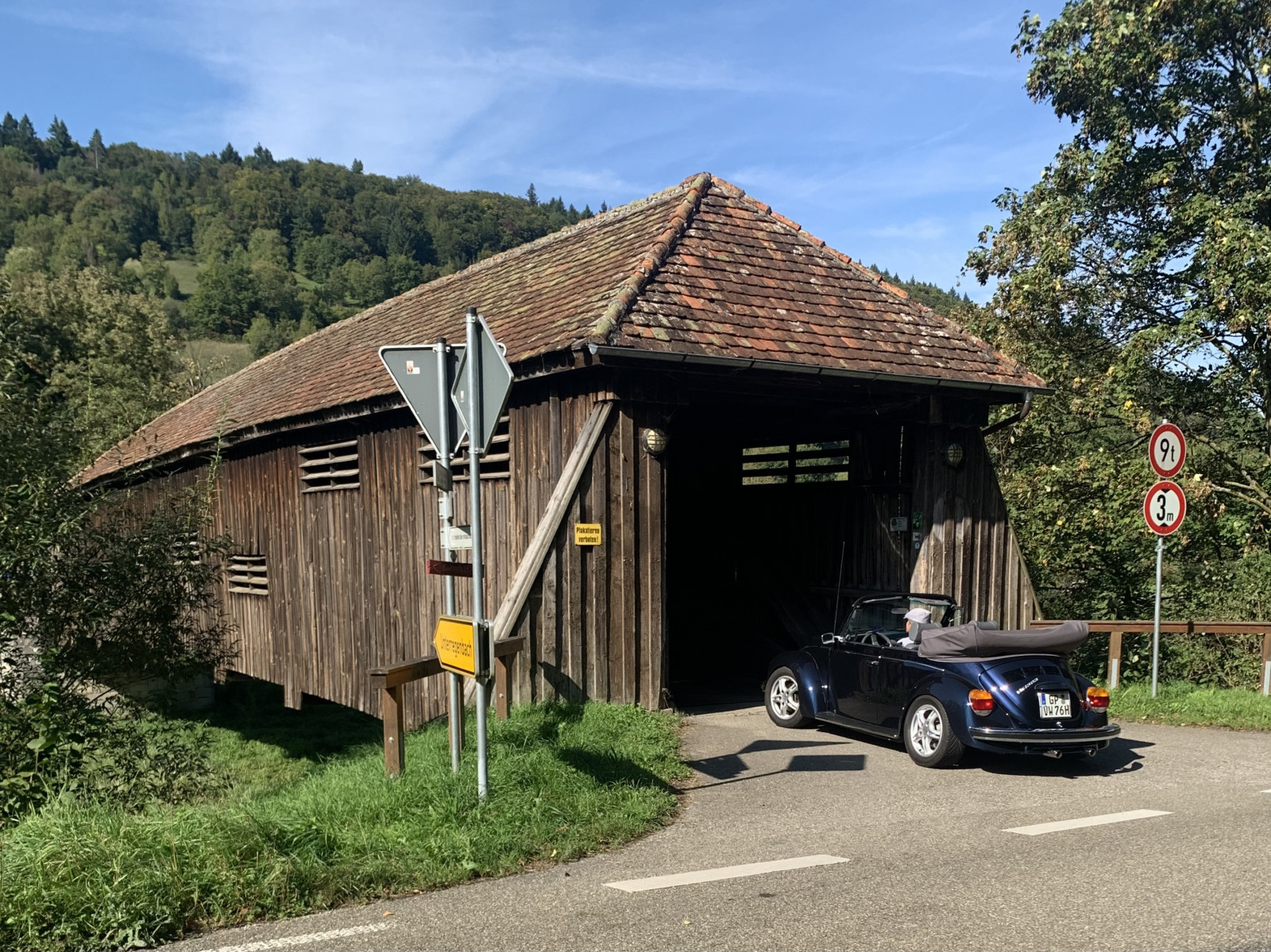 Eure schönsten Käfer-Fotos