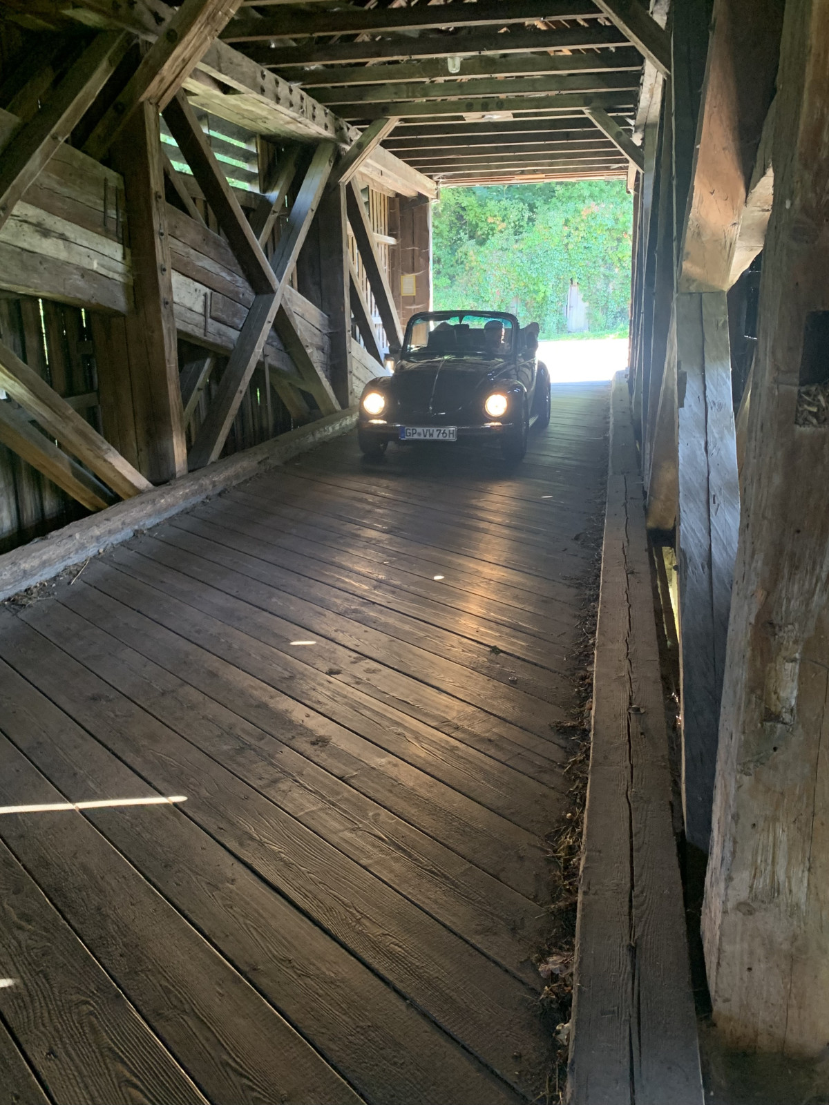 Eure schönsten Käfer-Fotos