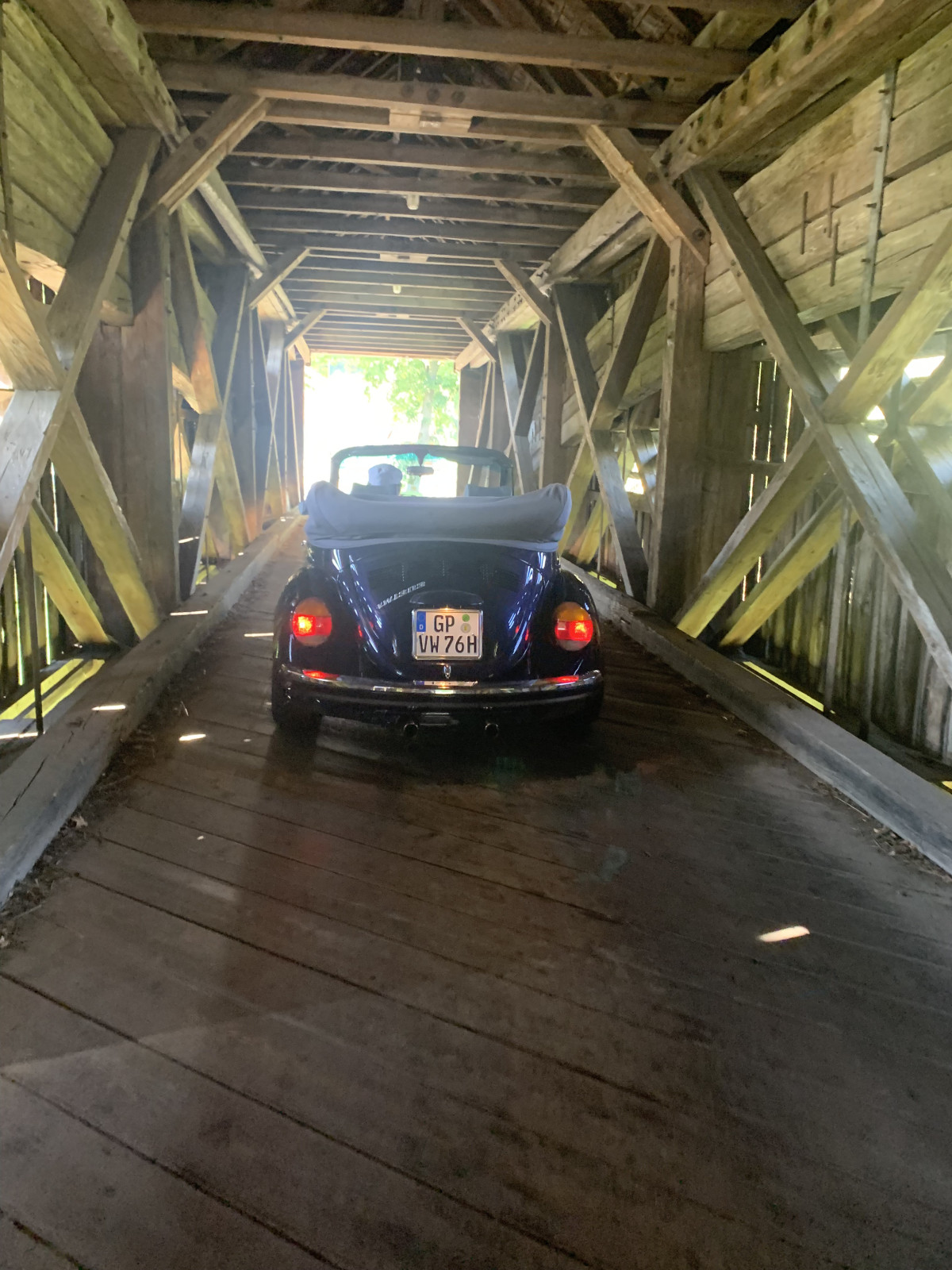 Eure schönsten Käfer-Fotos