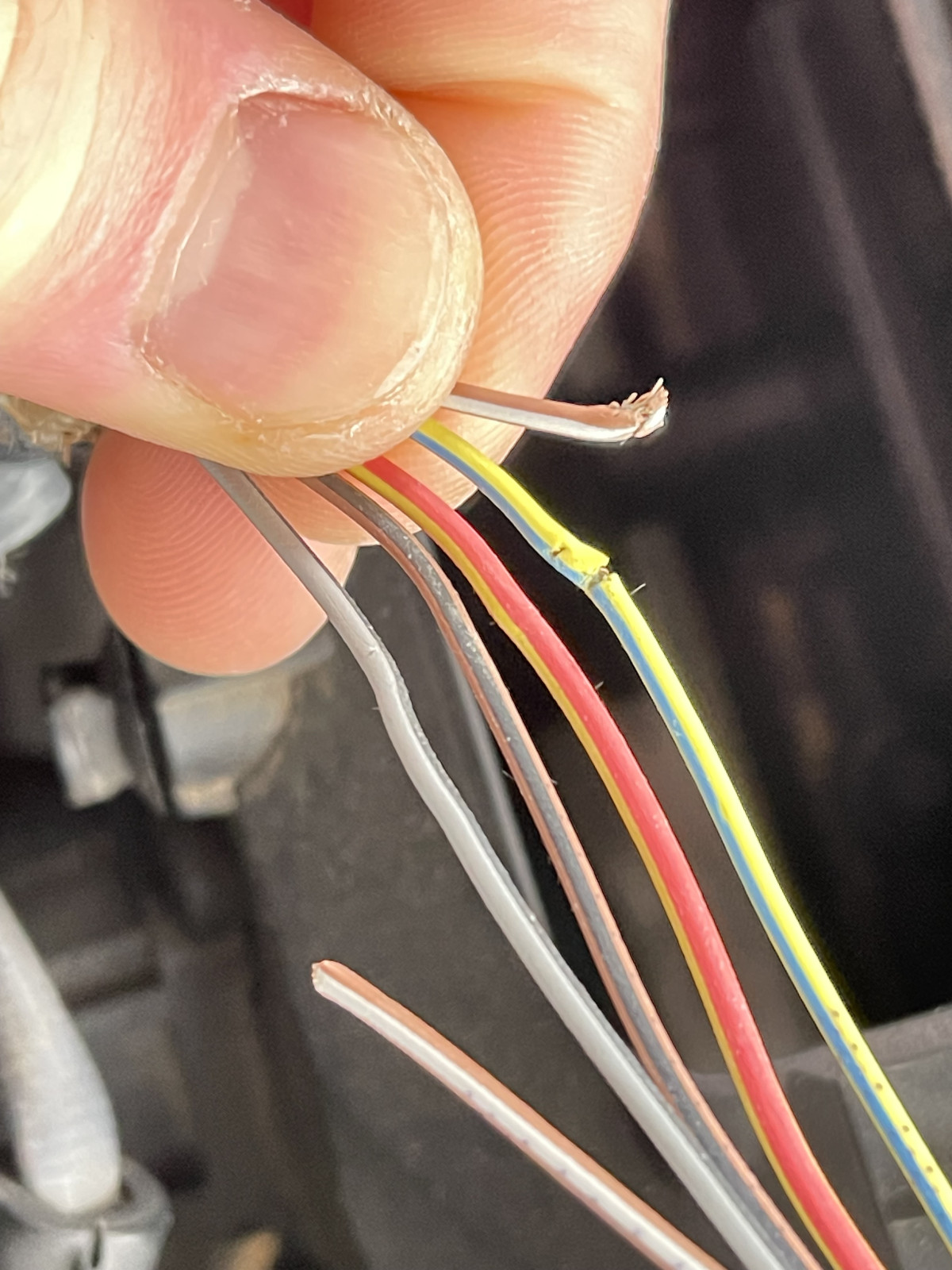 530xd LCI 258PS 2015 LMM Marder welches Kabel war das? NOx auch betroffen?