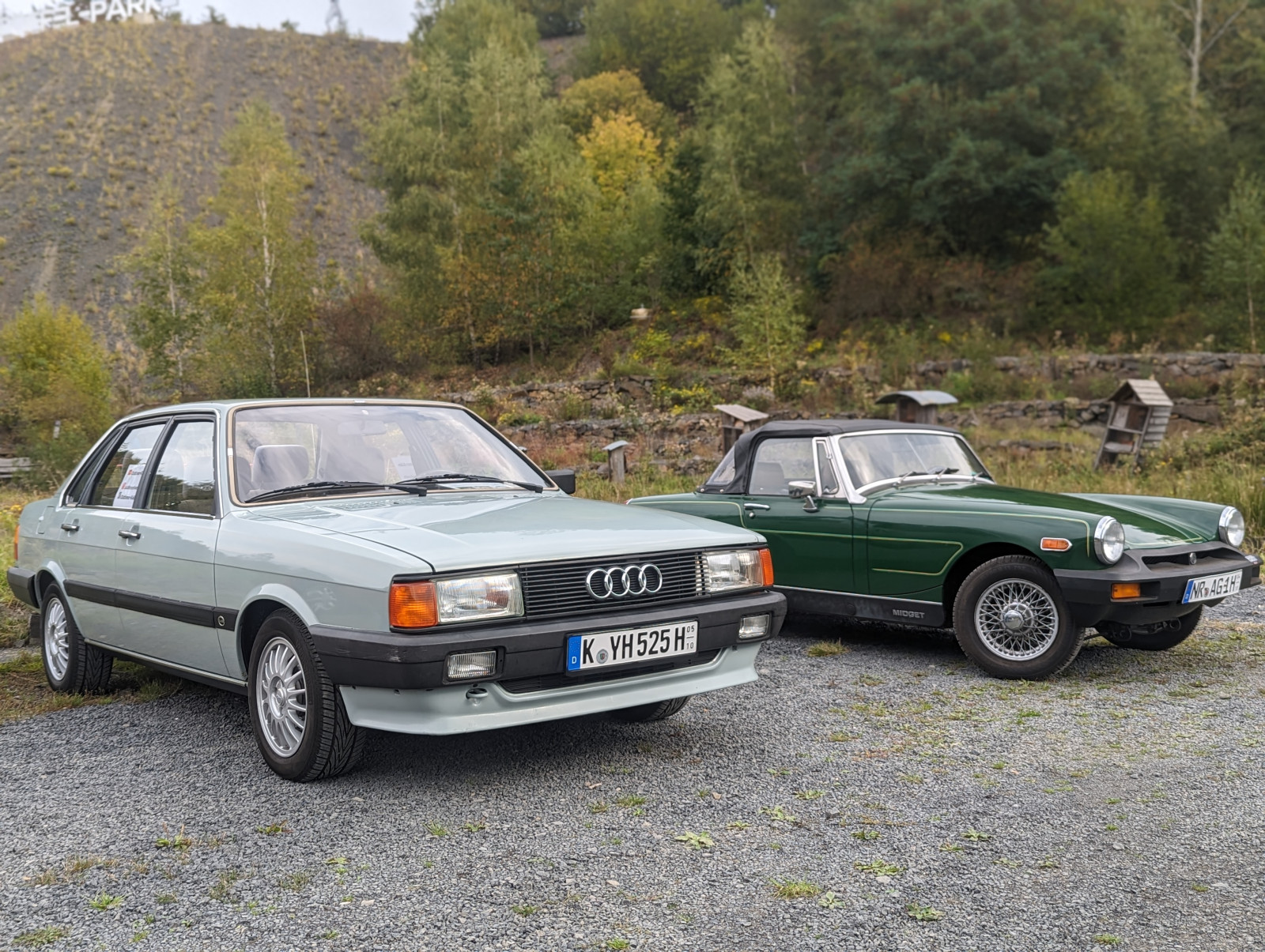 pxl-20231003-084703035-portrait