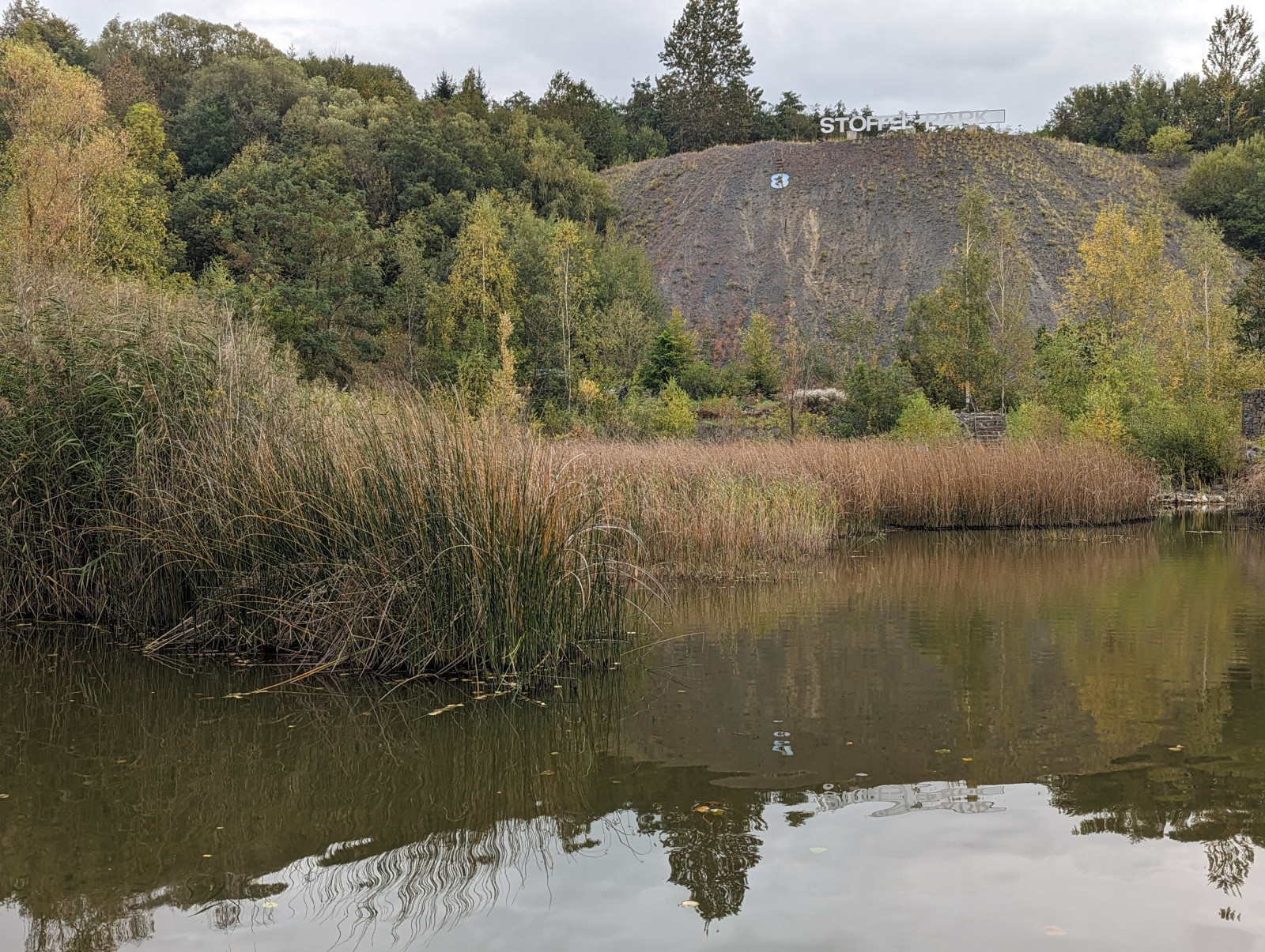 pxl-20231003-091231367-portrait-original