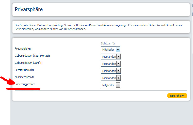 Volvo 850 stottert wenn warm