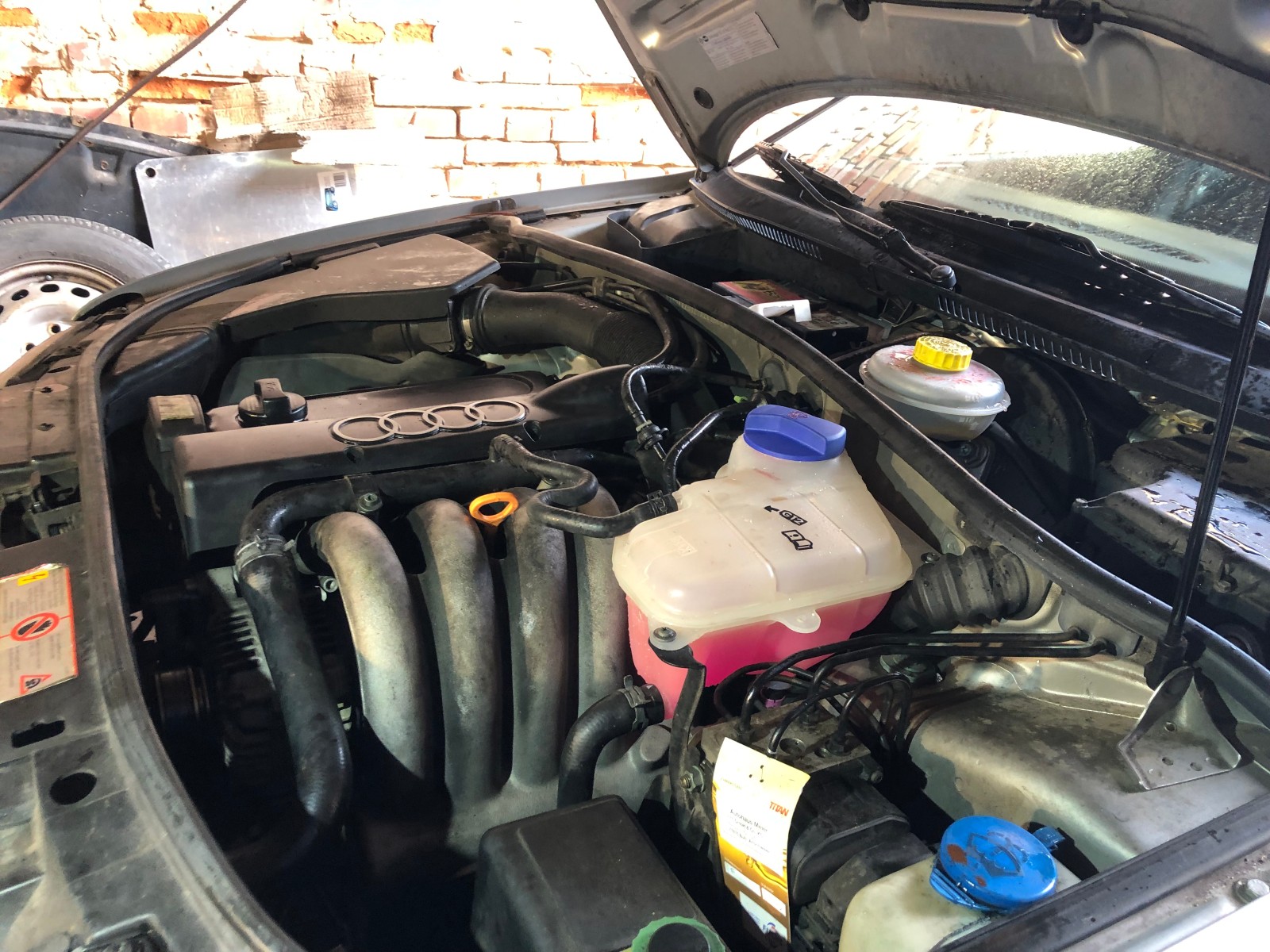 Heizung wird nicht warm!