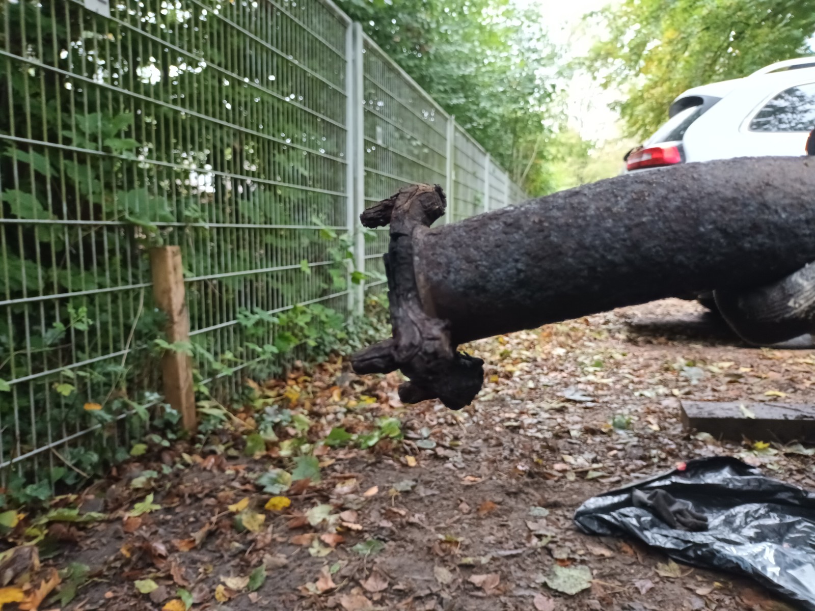 Auspuffanlage ab Kat wechseln