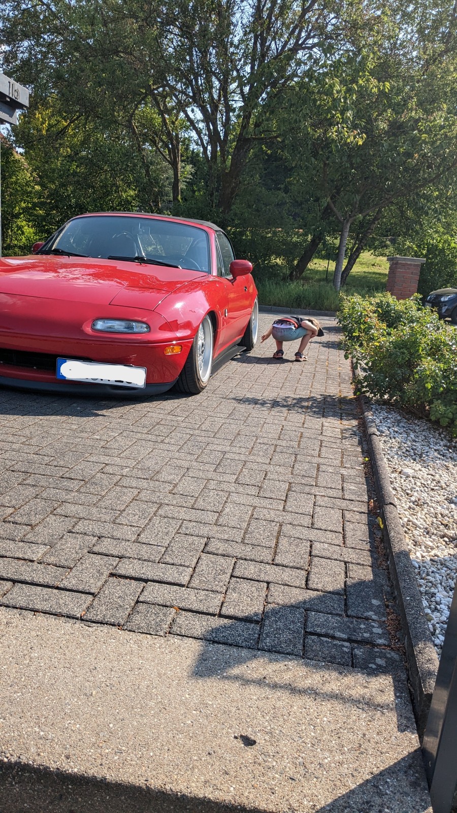 Der Experte kontrolliert