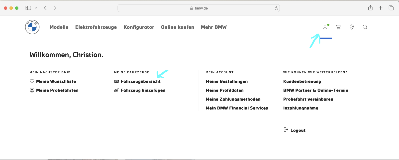 BMW Download Manager