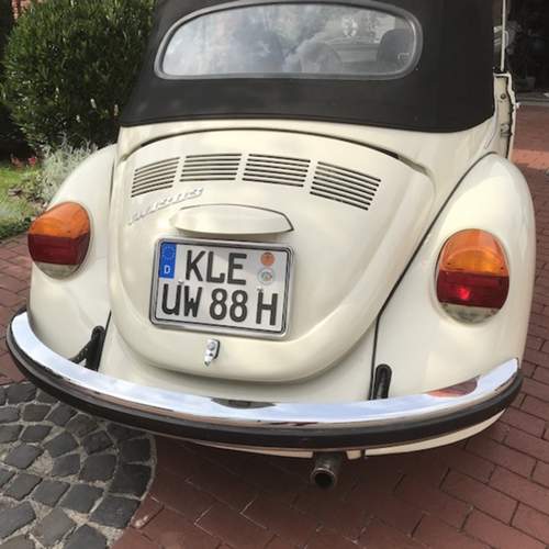 Kaefer-motorraum-lueftung