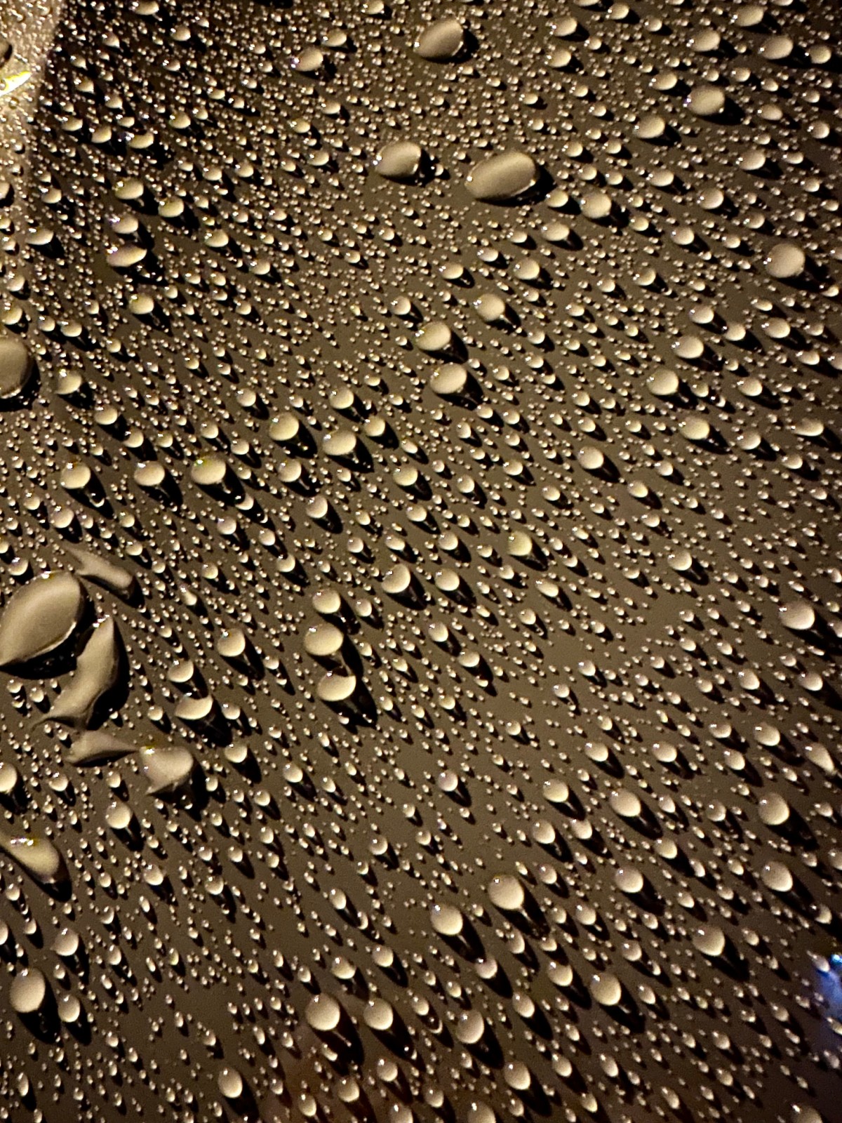 3er G21 Bilder-Thread