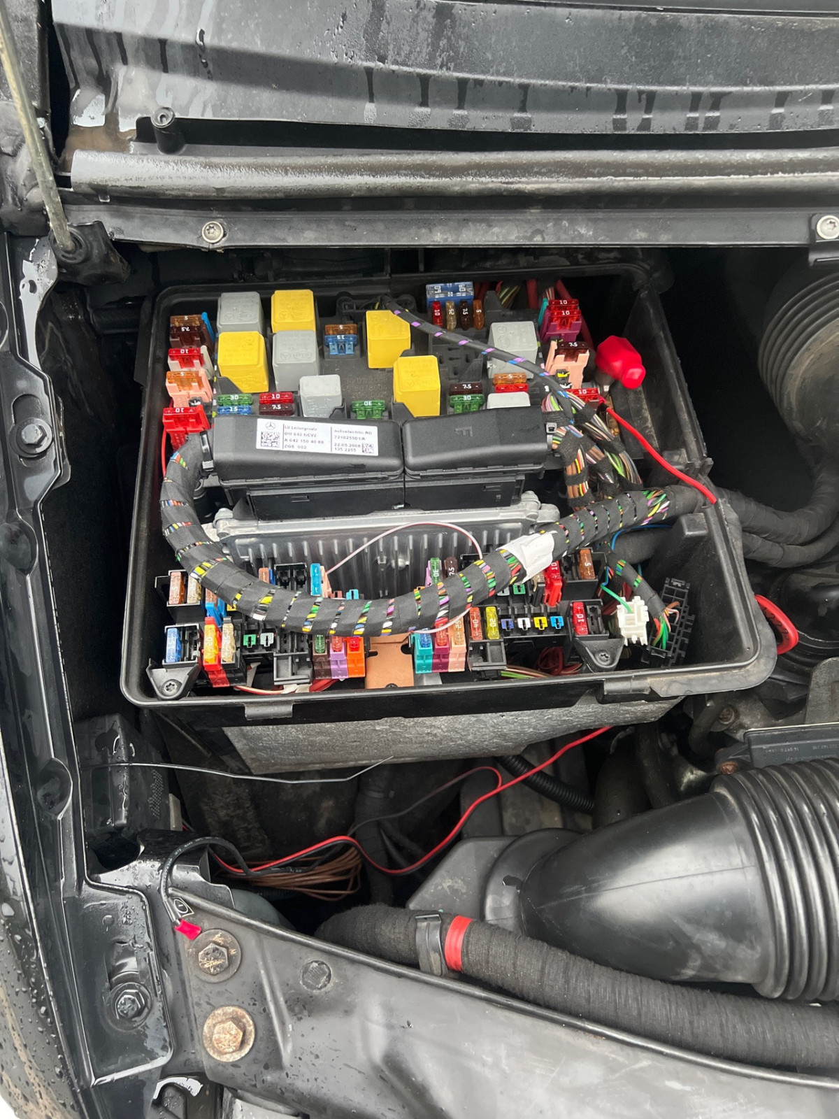 Viano Bj.09 Elektronik spinnt