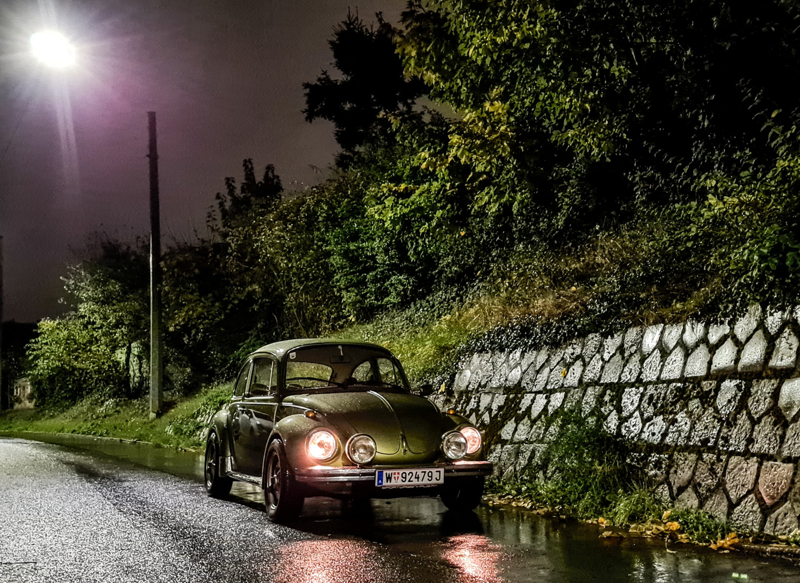 Eure schönsten Käfer-Fotos