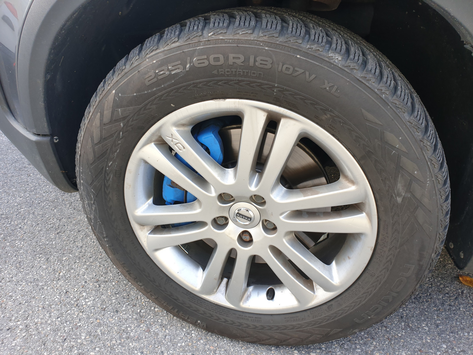 Was habt ihr heute am Elch getan?