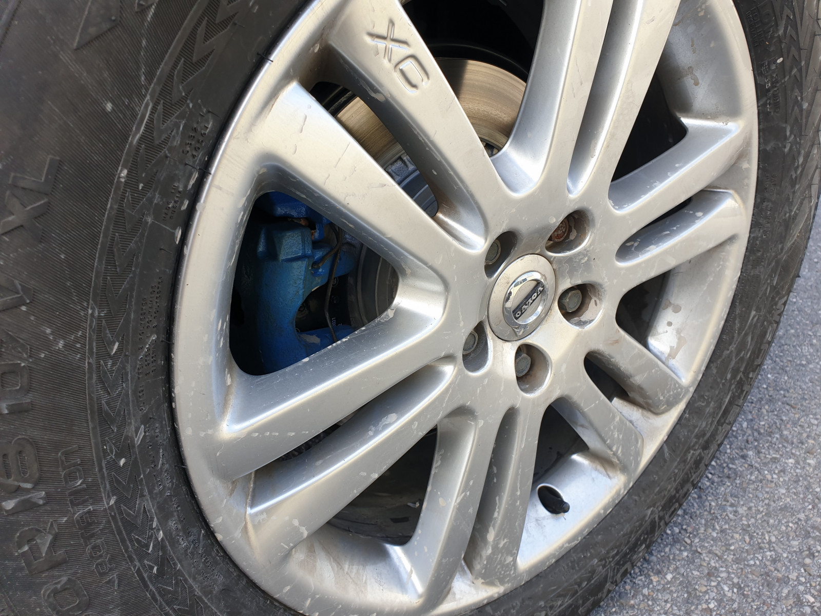 Was habt ihr heute am Elch getan?