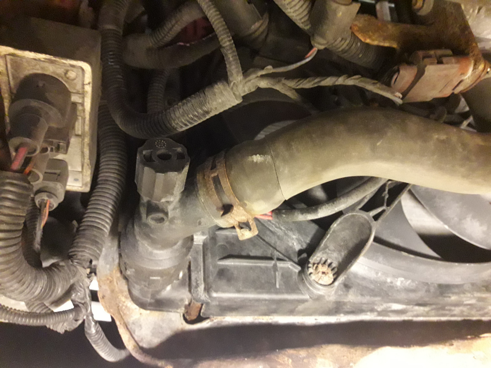 ..hoffentlich nicht der Kühler?