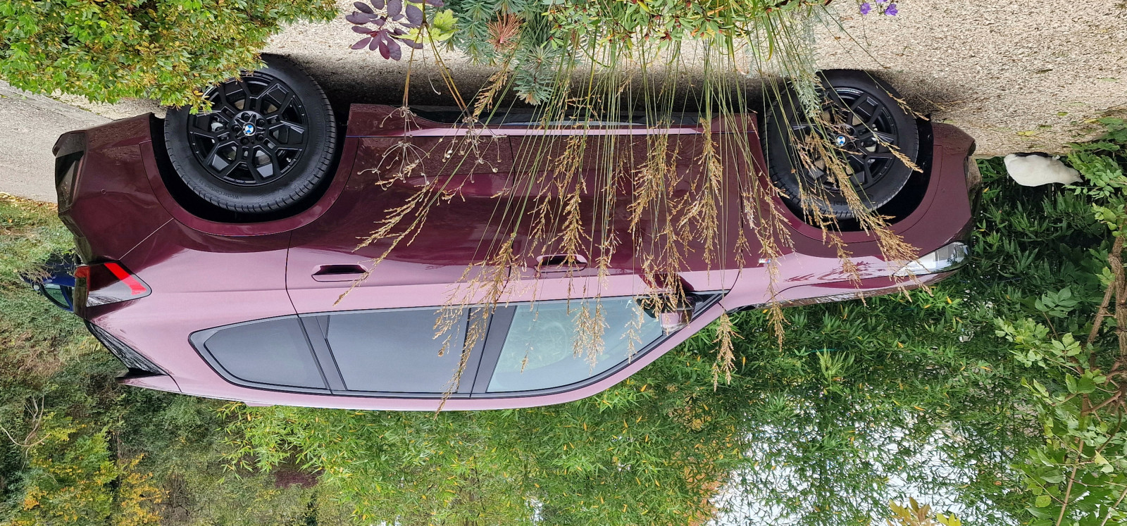 Welche Farbe habt ihr gewählt?