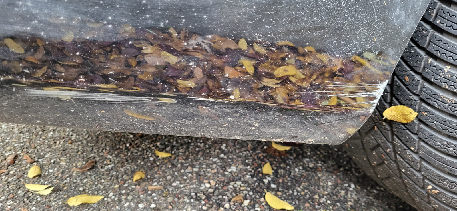 Kratzer / Schaden bei Rückgabe