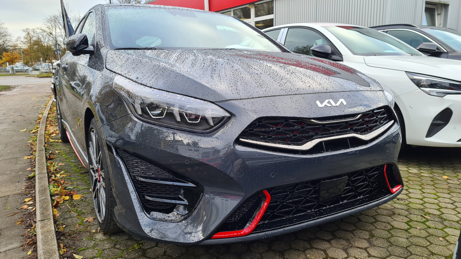 Absurde Lieferzeiten Ceed?