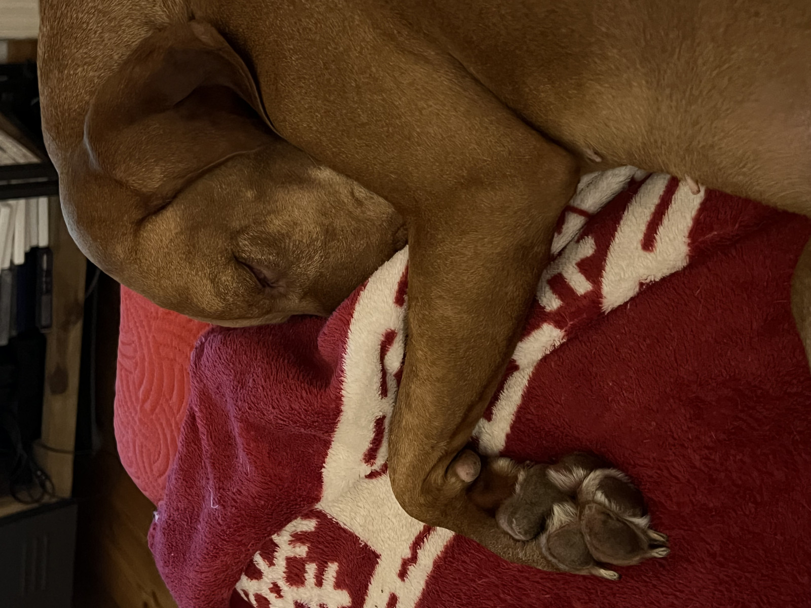 New Defender - Kinderkrankheiten