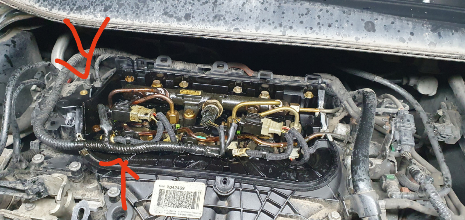 Abgasgeruch Innenraum