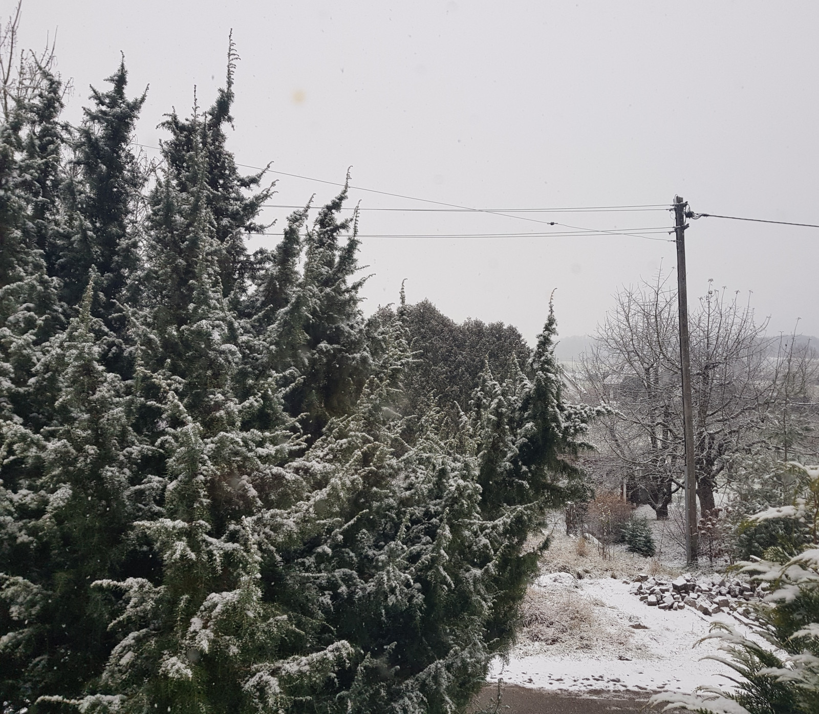 Wer hat schon Sauwetter?