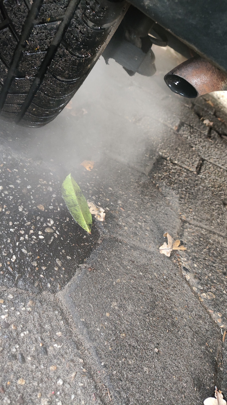 Weißer Qualm aus Auspuff bei Betriebstemperatur