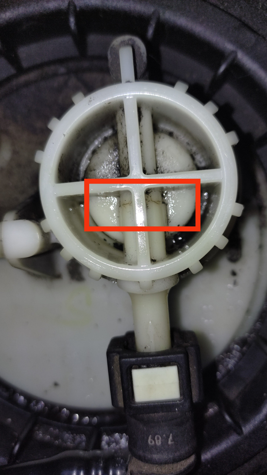 Benzingeruch im Stand (Abgeschaltetes auto)