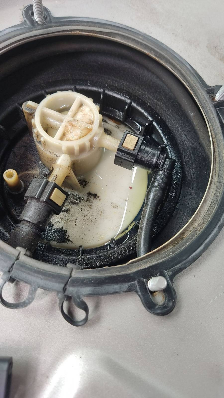 Benzingeruch im Stand (Abgeschaltetes auto)