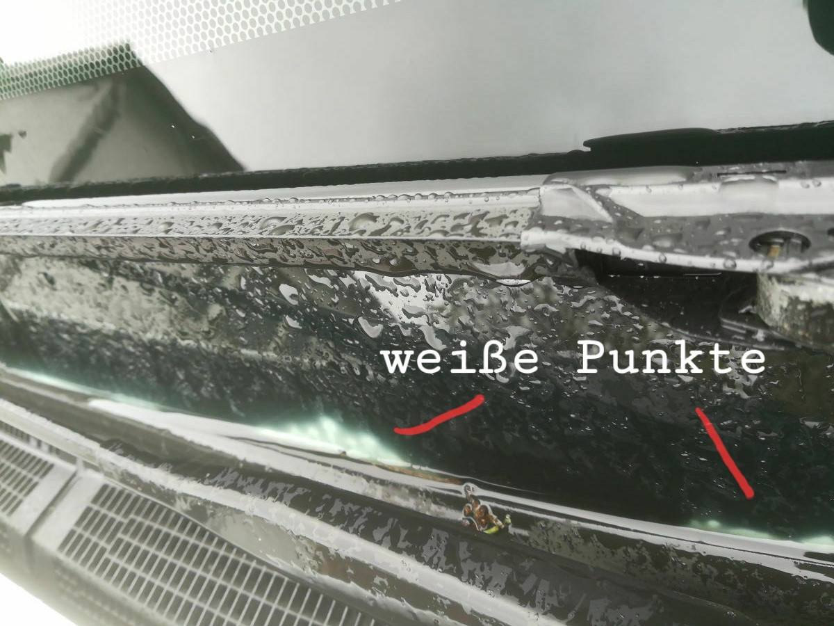 Was habt Ihr heute alles Gutes für Euren Omega & Senator getan?