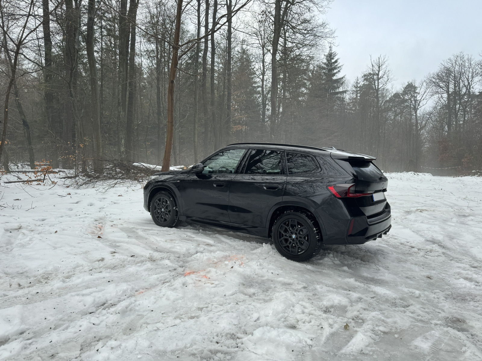 Bilder, Bilder, Bilder