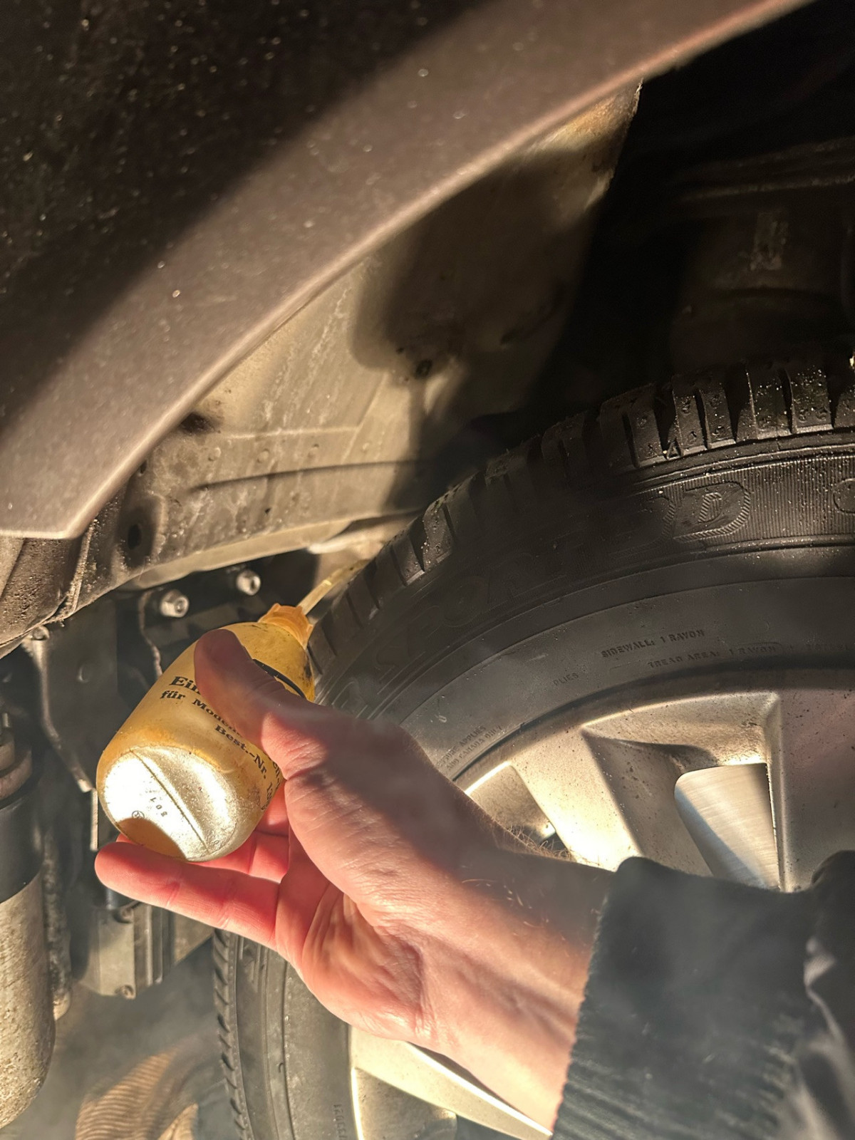 Vorstellung meines neuen Phaetons - MH-Husky