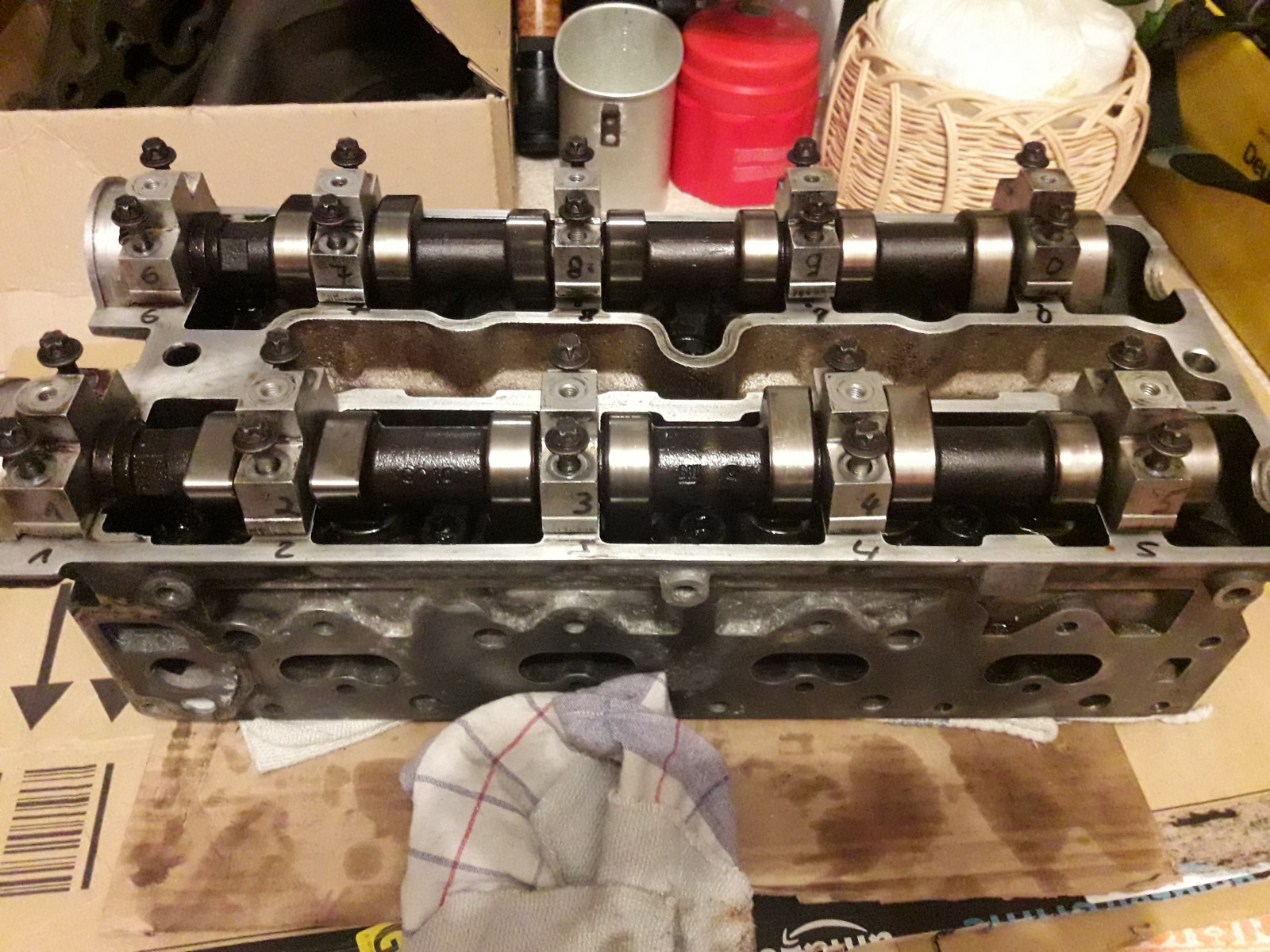 Was habt Ihr heute alles Gutes für Euren Omega & Senator getan?