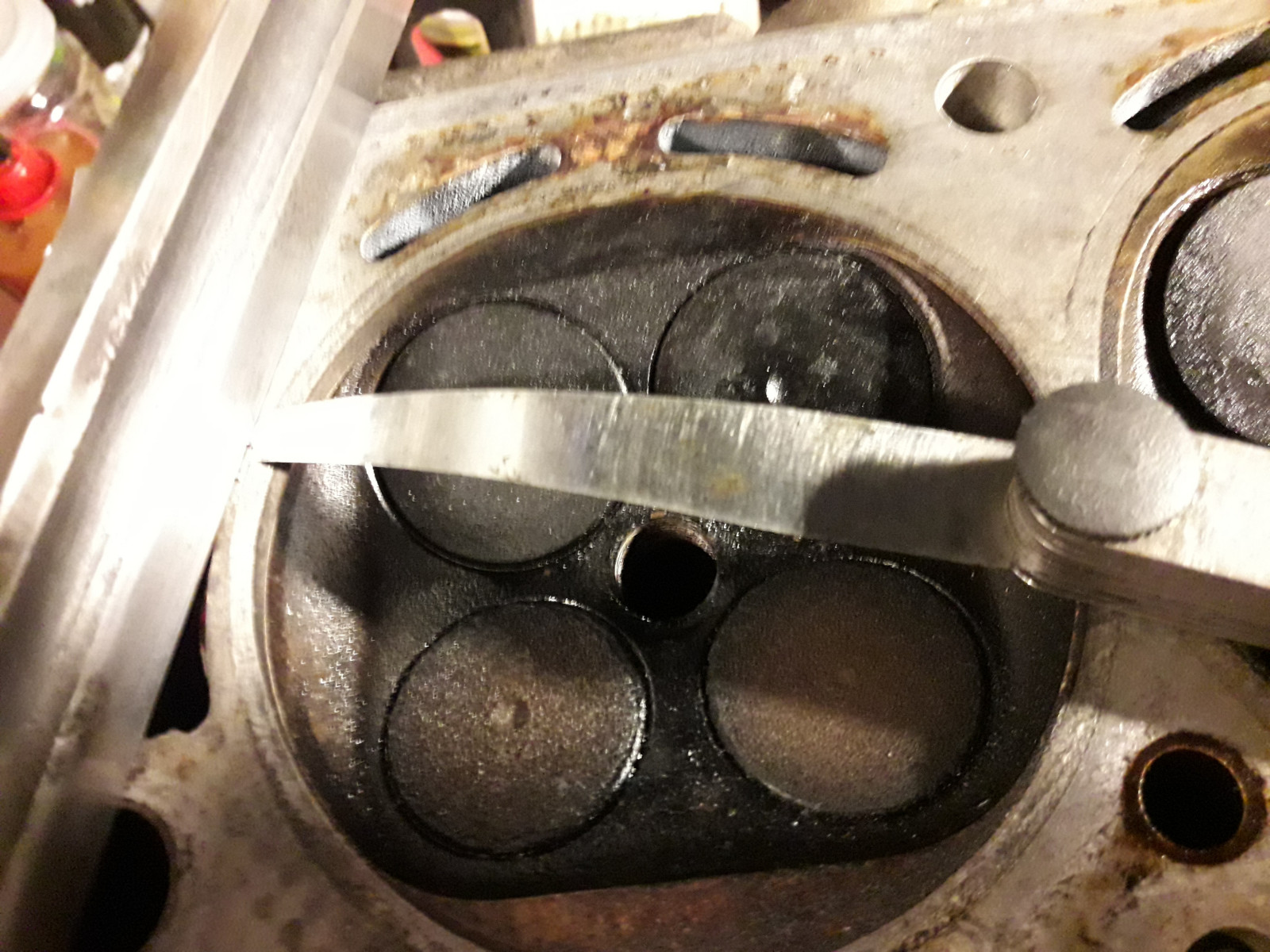 Was habt Ihr heute alles Gutes für Euren Omega & Senator getan?