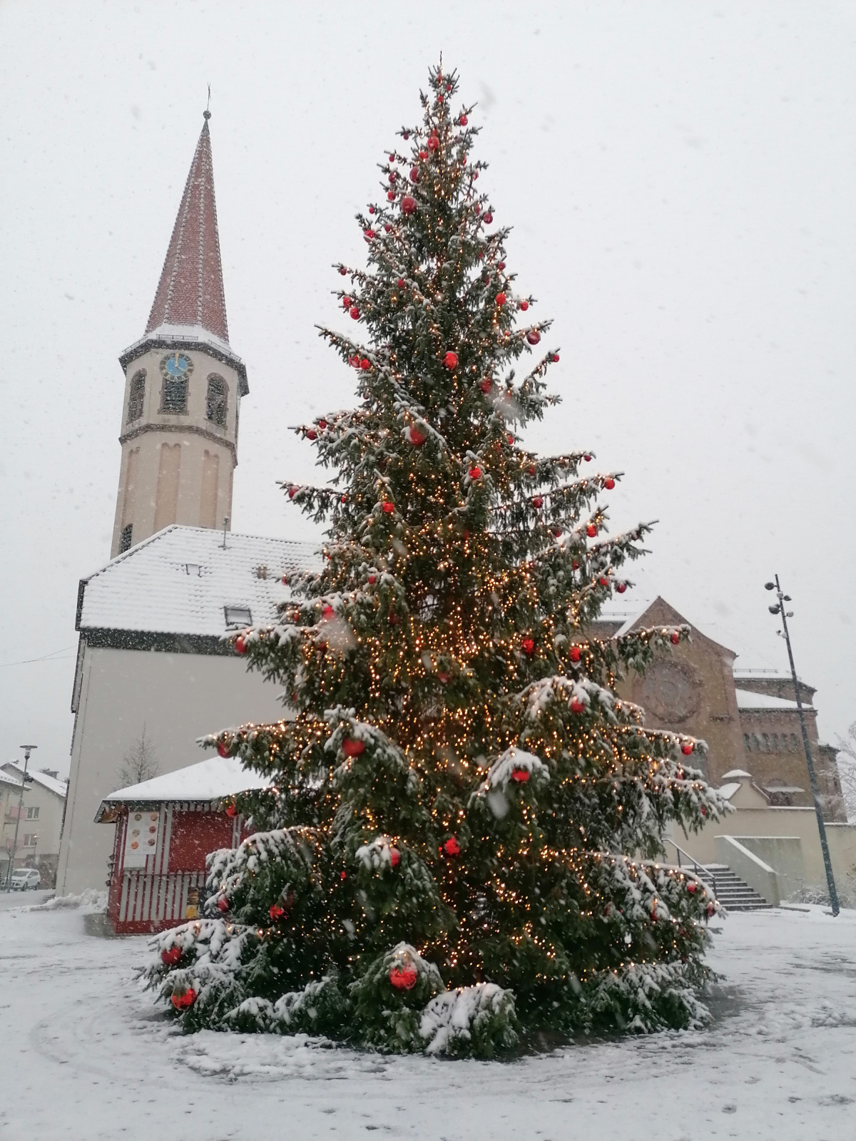 Gleicher Ort wie 2022 schon, unser schöner Weihnachtsbaum.