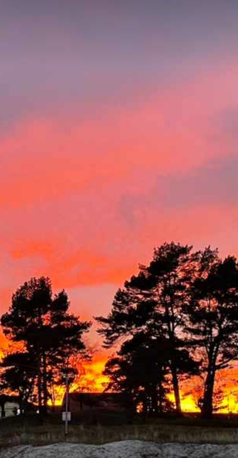 Der Schrottplatz - Spiegelsymmetrisch des Showrooms