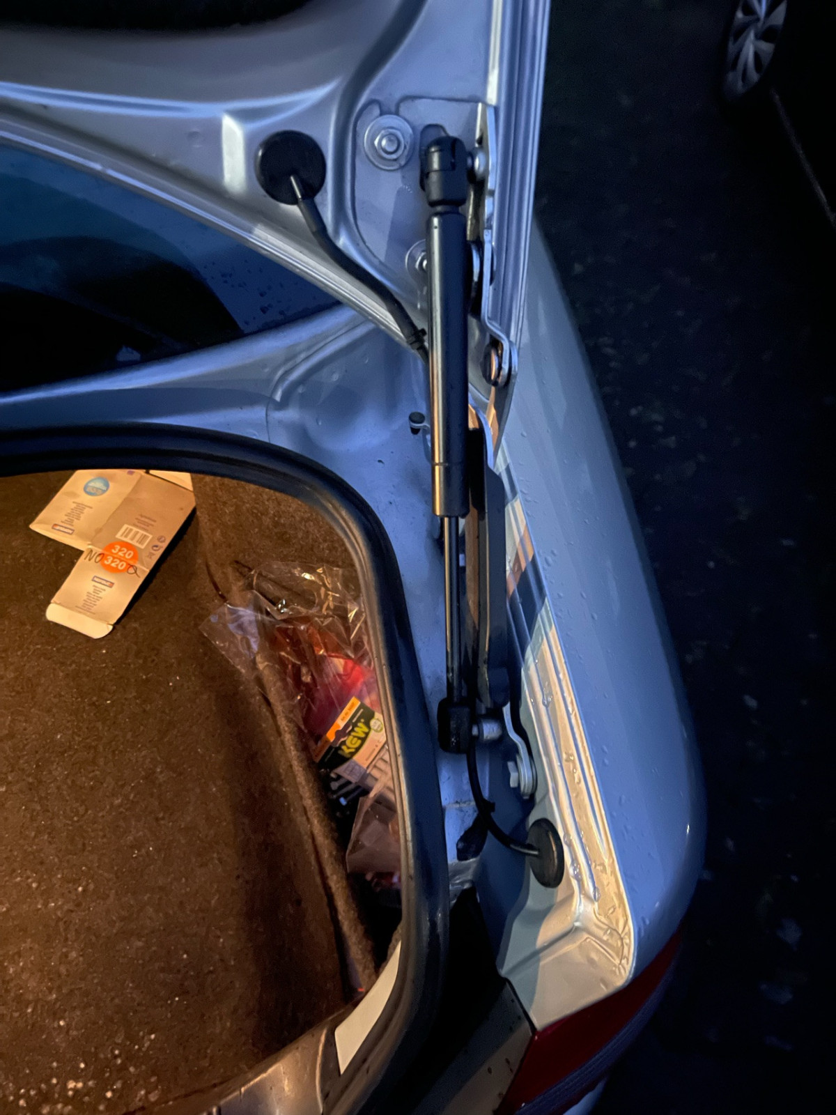 Schimmel im Kofferraum