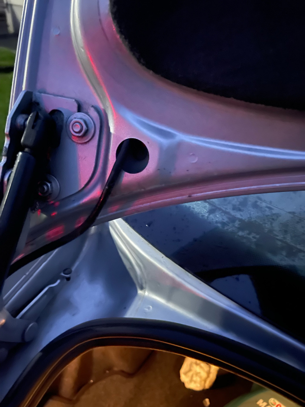 Schimmel im Kofferraum